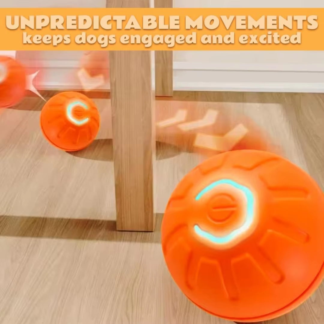 Smart ball for dogs and cats.