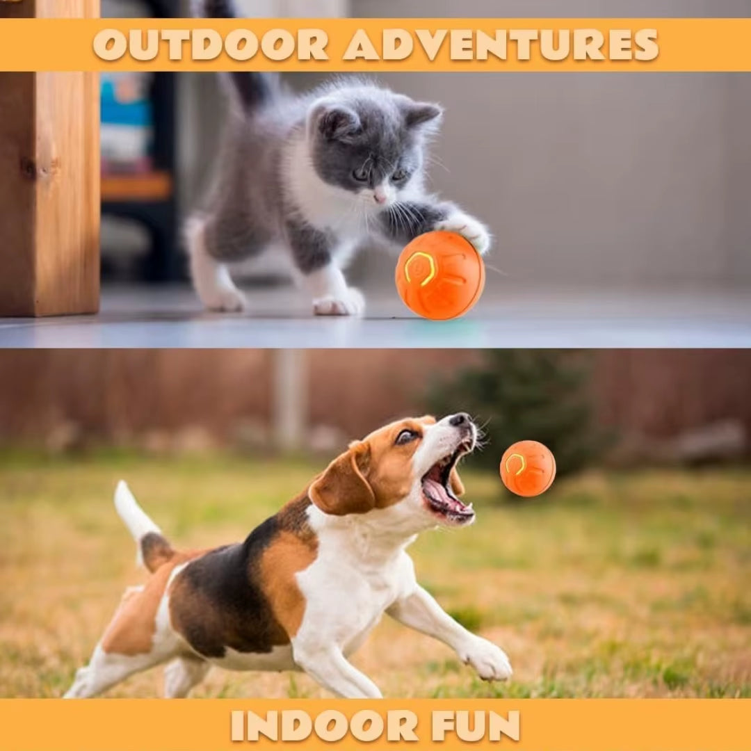 Smart ball for dogs and cats.