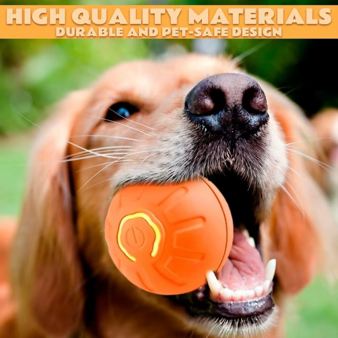 Smart ball for dogs and cats.