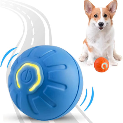 Smart ball for dogs and cats.